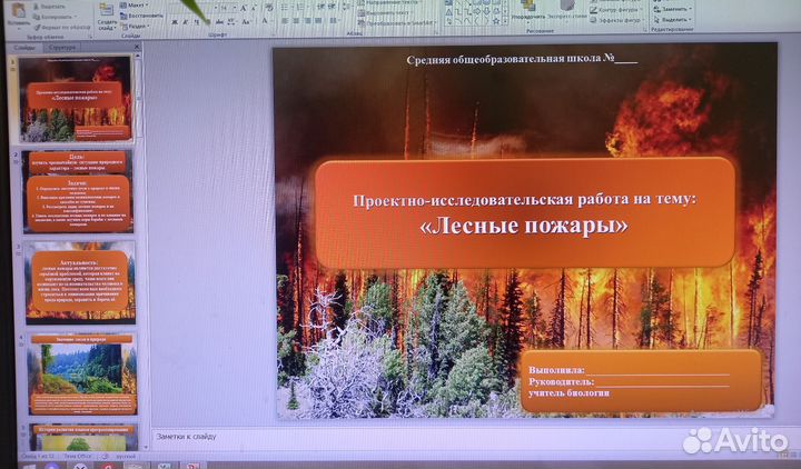 Школьный проект Презентация на заказ