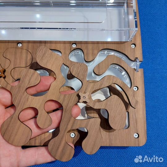 Новая Муравьиная ферма AntPlanet Американский орех