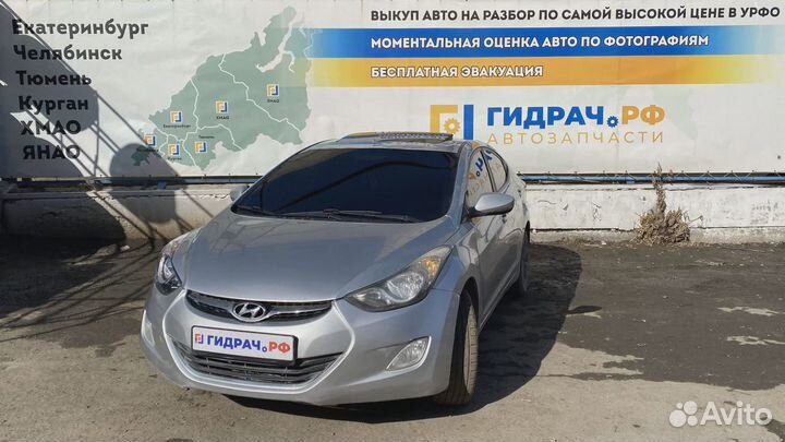 Направляющая стекла двери заднего правого Hyundai Avante (MD) 835203X000