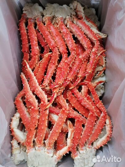 Клешни камчатского краба