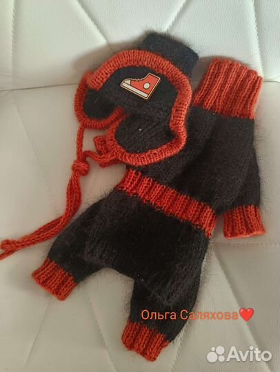 Костюм из ангоры для чихуахуа