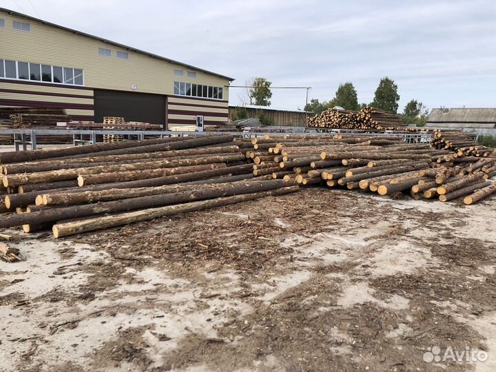 Соотировщик леса