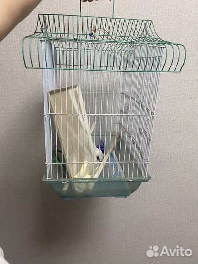Клетка для попугая бу