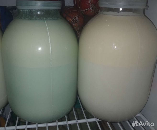 Молоко джерсейской коровки и фермерские продукты