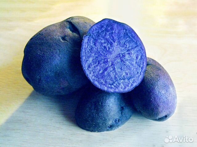 Семенной картофель необычный купить в Санкт-Петербурге | Товары для ...