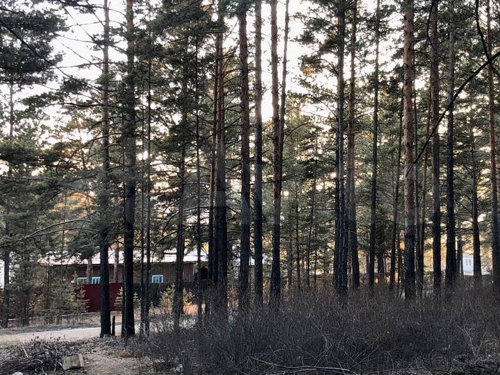 Участок 23,7 сот. (ИЖС)