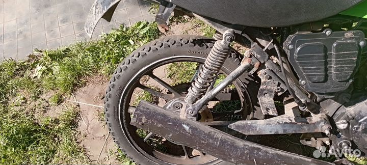 Racer 150-23 tiger