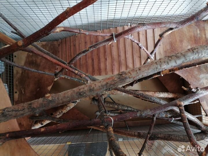 Клетка для грызунов очень большая