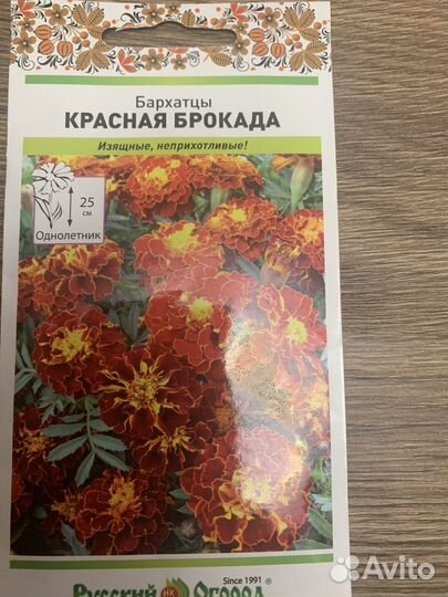 Бархатцы(рассада)