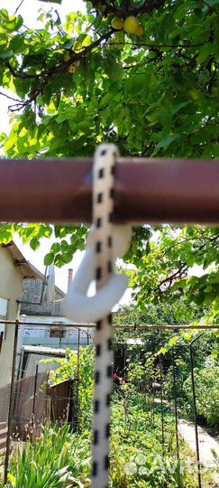 Пневмонии груша