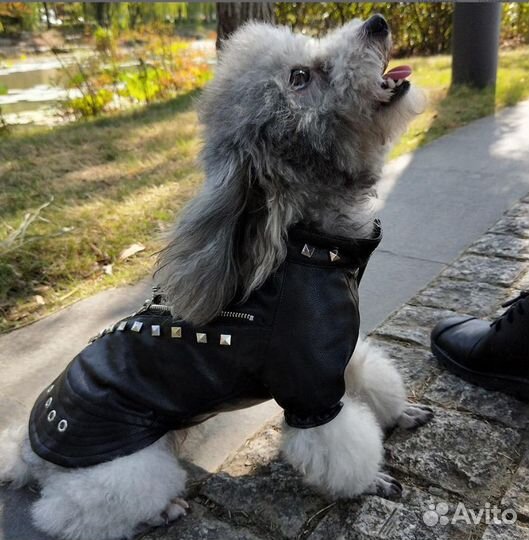 Кожаная куртка 