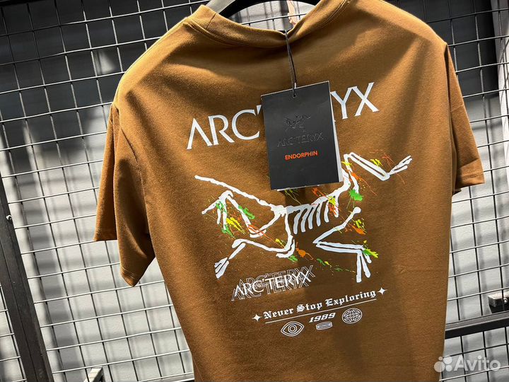 Футболка мужская arcteryx (Арт.31019)