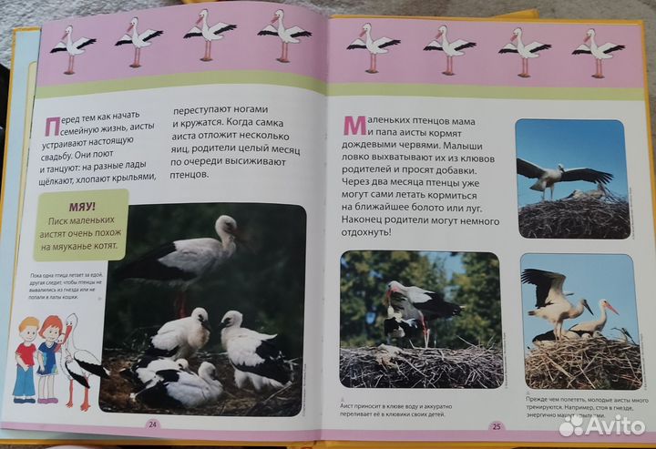 Набор книг Моя веселая азбука