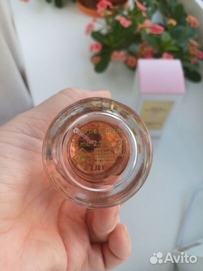 Guerlain парфюмерия Aqua Allegoria Rosa RossaForte