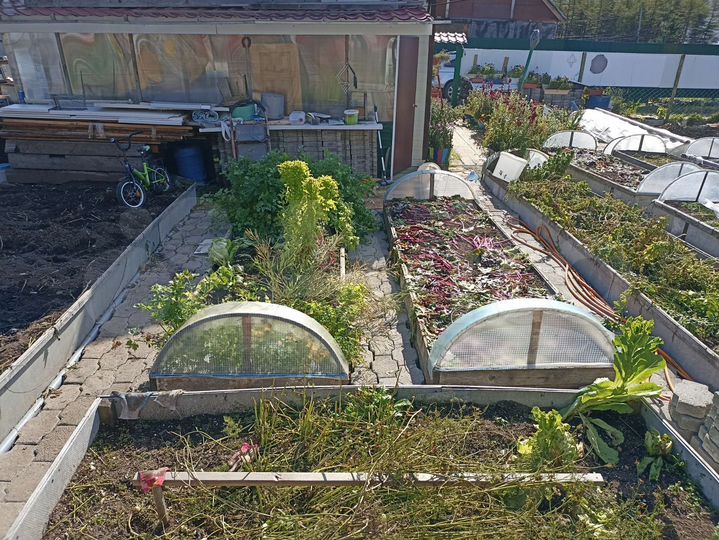 Дом 42 м² на участке 4,8 сот.