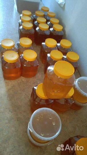 Горный мед из с.Усть -Кокса