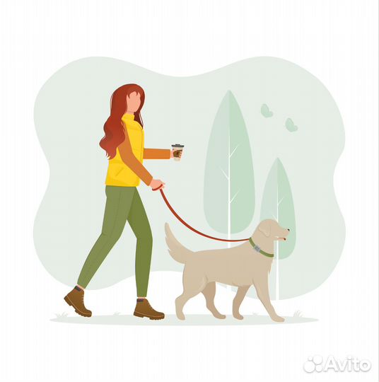 Выгул собак средних и маленьких