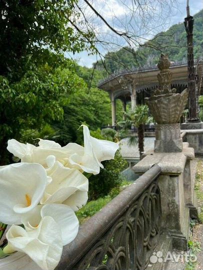 Золотое кольцо Абхазии экскурсия