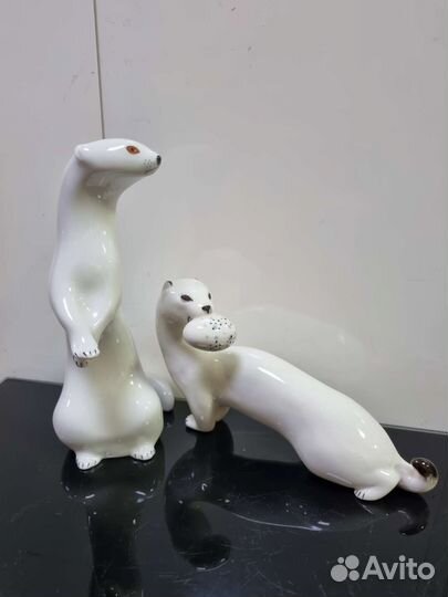 Ласка горностай лфз, ифз