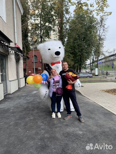 Поздравление от Белого Медведя; Панды