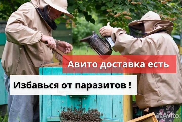 Антипаразитарный антигрибковый мед