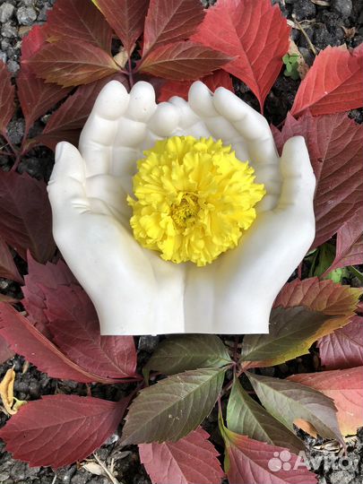 Подарок на день учителя