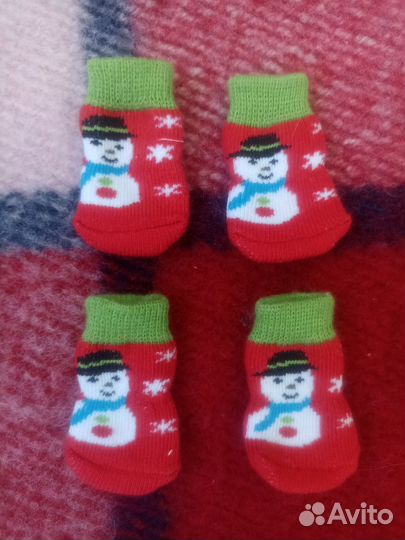 Одежда для собак