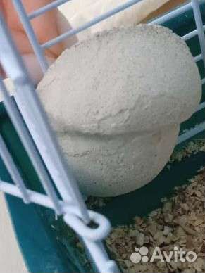 Клетка для джунгарского хомяка