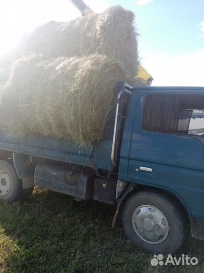 Сено
