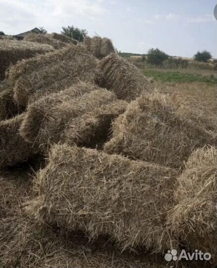 Сено в тюках