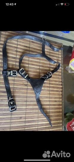 Кожа шлейка и ошейник для собак