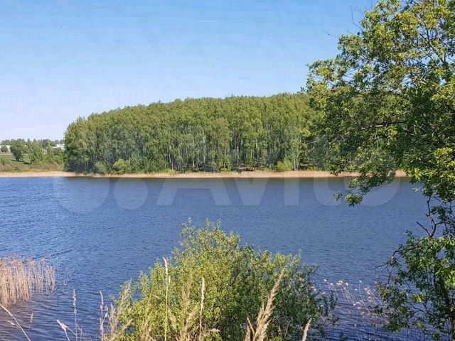 Погода кощино. Озеро Кощино Смоленск. Озеро в Кощино Смоленская область. Стабненское водохранилище Смоленск. Деревня Кощино.