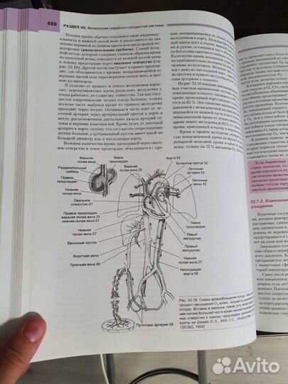 Фундаментальная и клиническая физиология