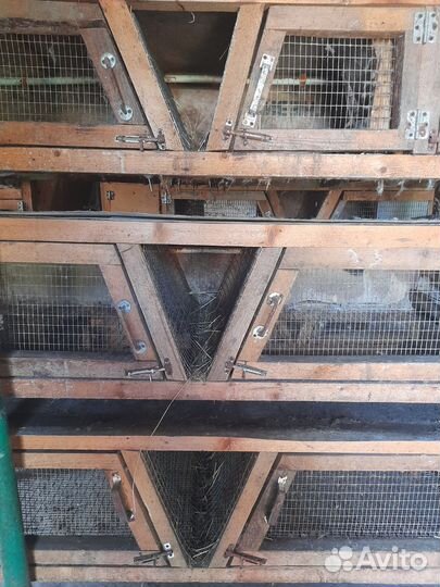 Клетка для кроликов