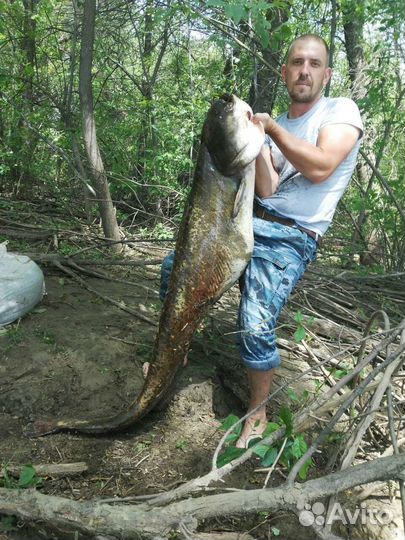 Рыбалка и отдых в Астрахани