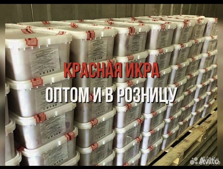 Красная икра оптом