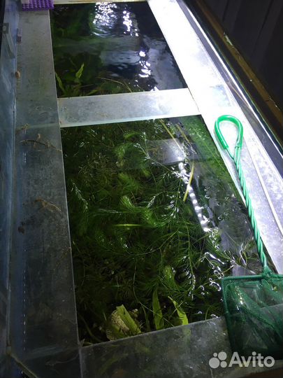 Аквариум 200 литров с тумбой