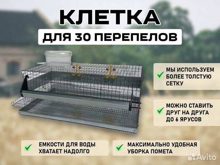 Клетки для 30 перепелов