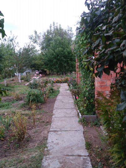 Дача 80 м² на участке 16 сот.