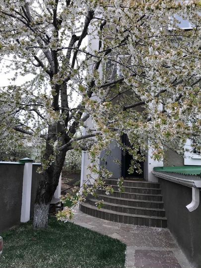 Коттедж 300 м² на участке 3 сот.