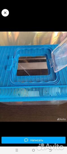 Контентер +еще