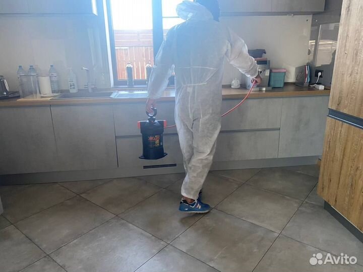 Дезинфекция. Уничтожение клопов, тараканов, блох