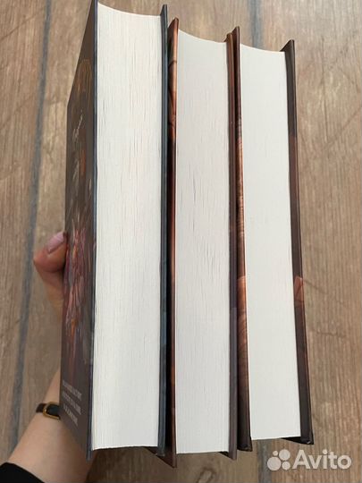 Терри пратчетт