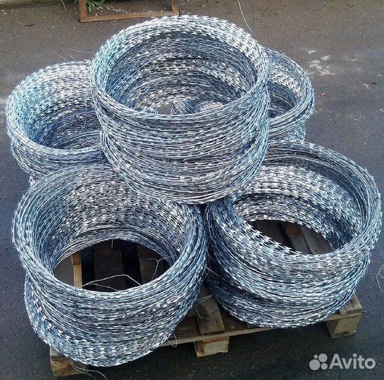 Колючая проволока егоза