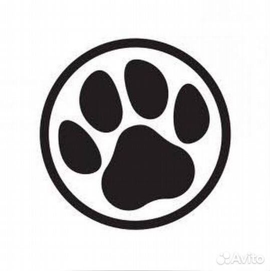 Водитель категории в