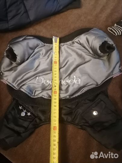 Одежда для маленьких пород собак