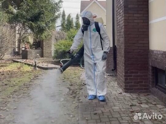 Обработка от клещей комаров блох мух ос кротов