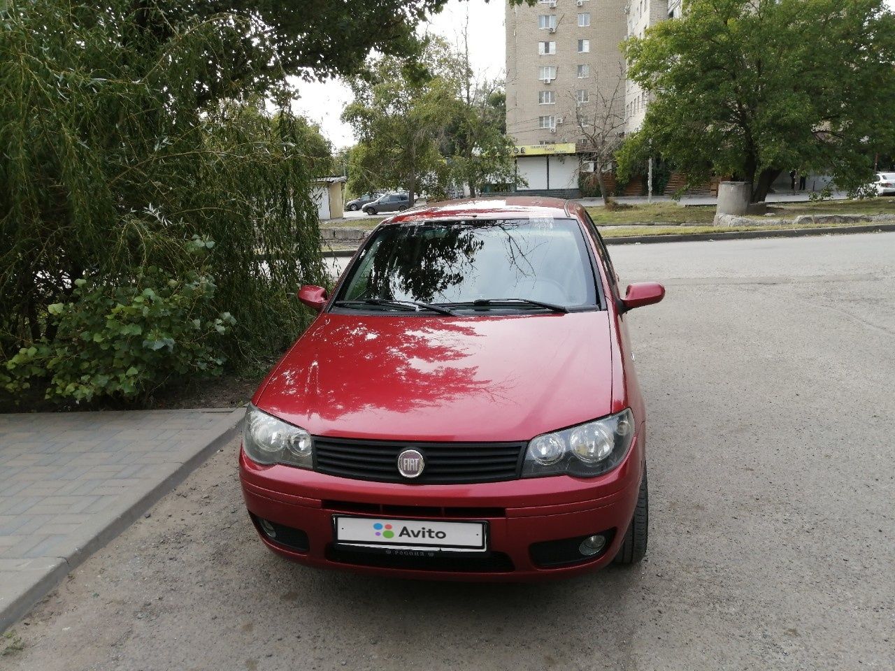 FIAT Albea: фото владельца