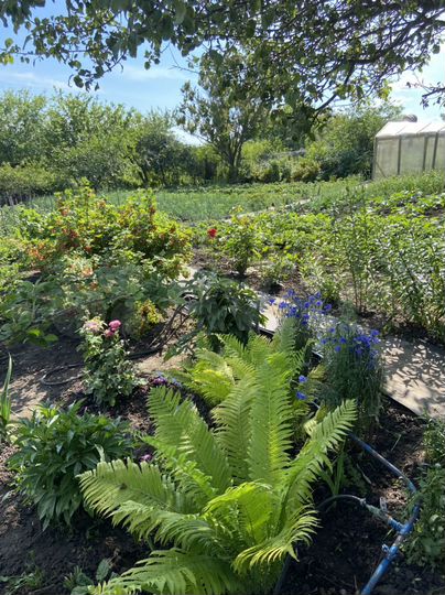 Дача 16 м² на участке 10 сот.