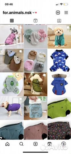 Одежда для собак и кошек всех пород